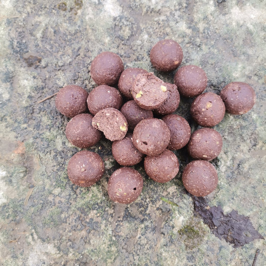 Bouillettes Denses Thon Ail
